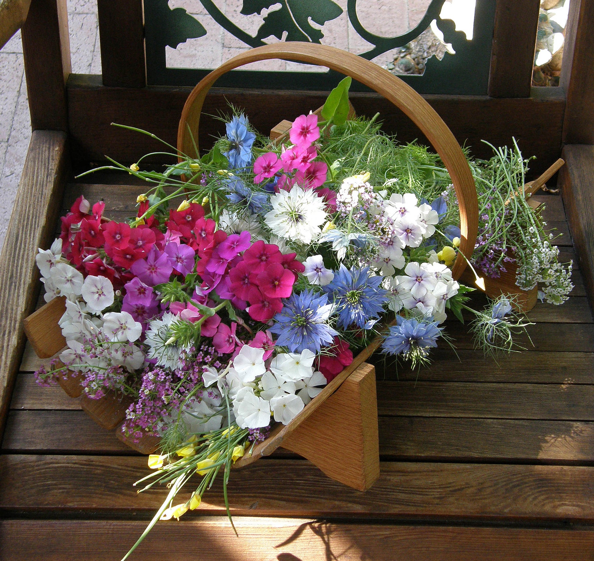 my fairy garden replacement seeds Fairy Garden Mix