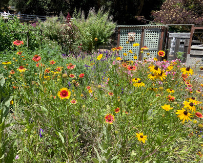 Bonus Pack - Firewise Garden Mix Landscape Defense