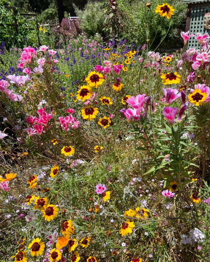 Bonus Pack - Firewise Garden Mix Landscape Defense