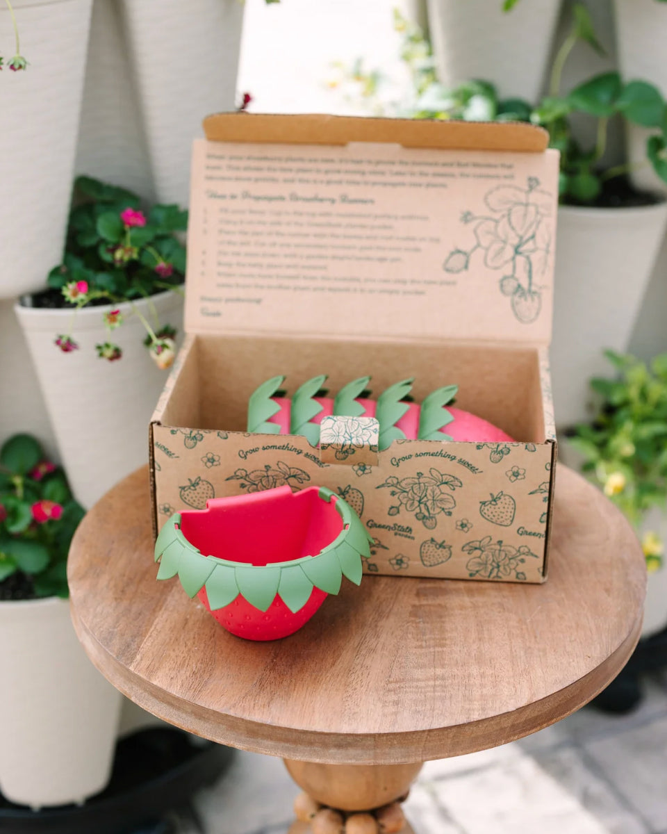 GreenStalk Garden Berry Cups