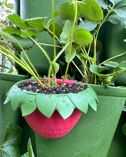 GreenStalk Garden Berry Cups