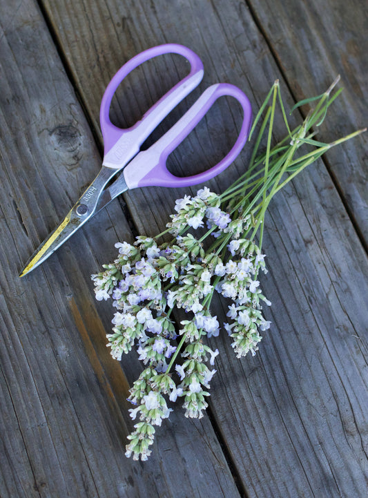 ARS Garden Scissors