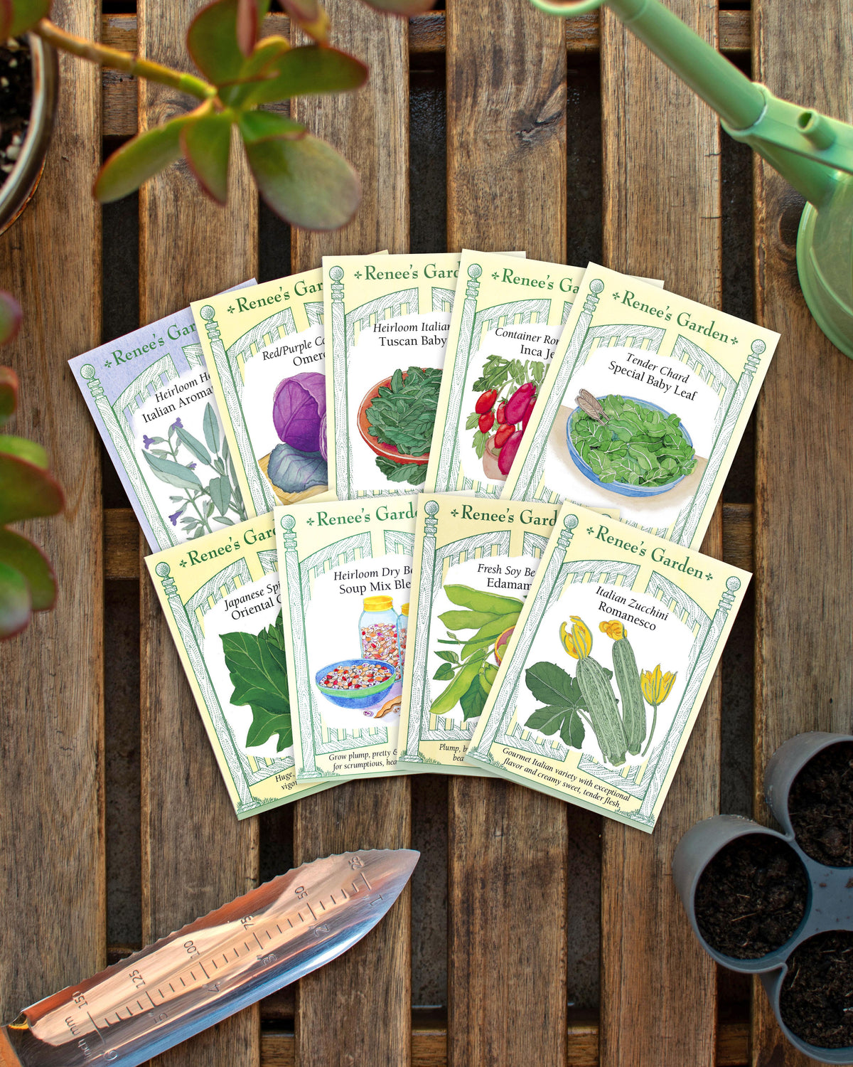 Hand-Picked Seed Bundle - Longevity Garden