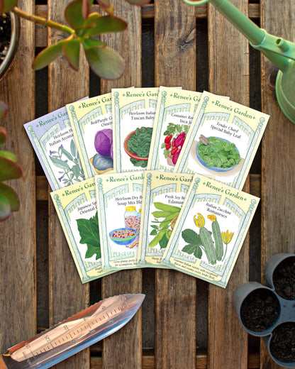 Hand-Picked Seed Bundle - Longevity Garden