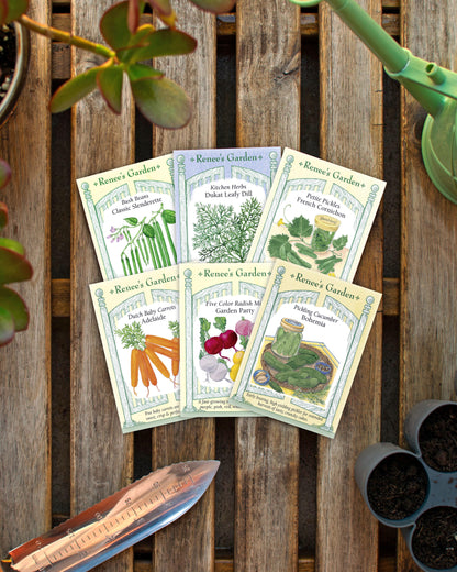 Hand-Picked Seed Bundle - Pickling Pantry