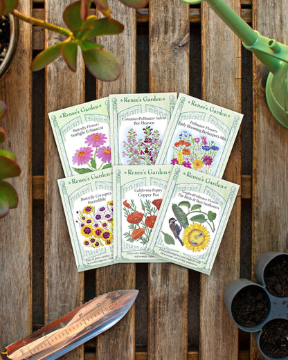 Hand-Picked Seed Bundle - Save the Bees