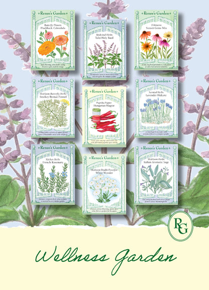Hand-Picked Seed Bundle - Wellness Garden