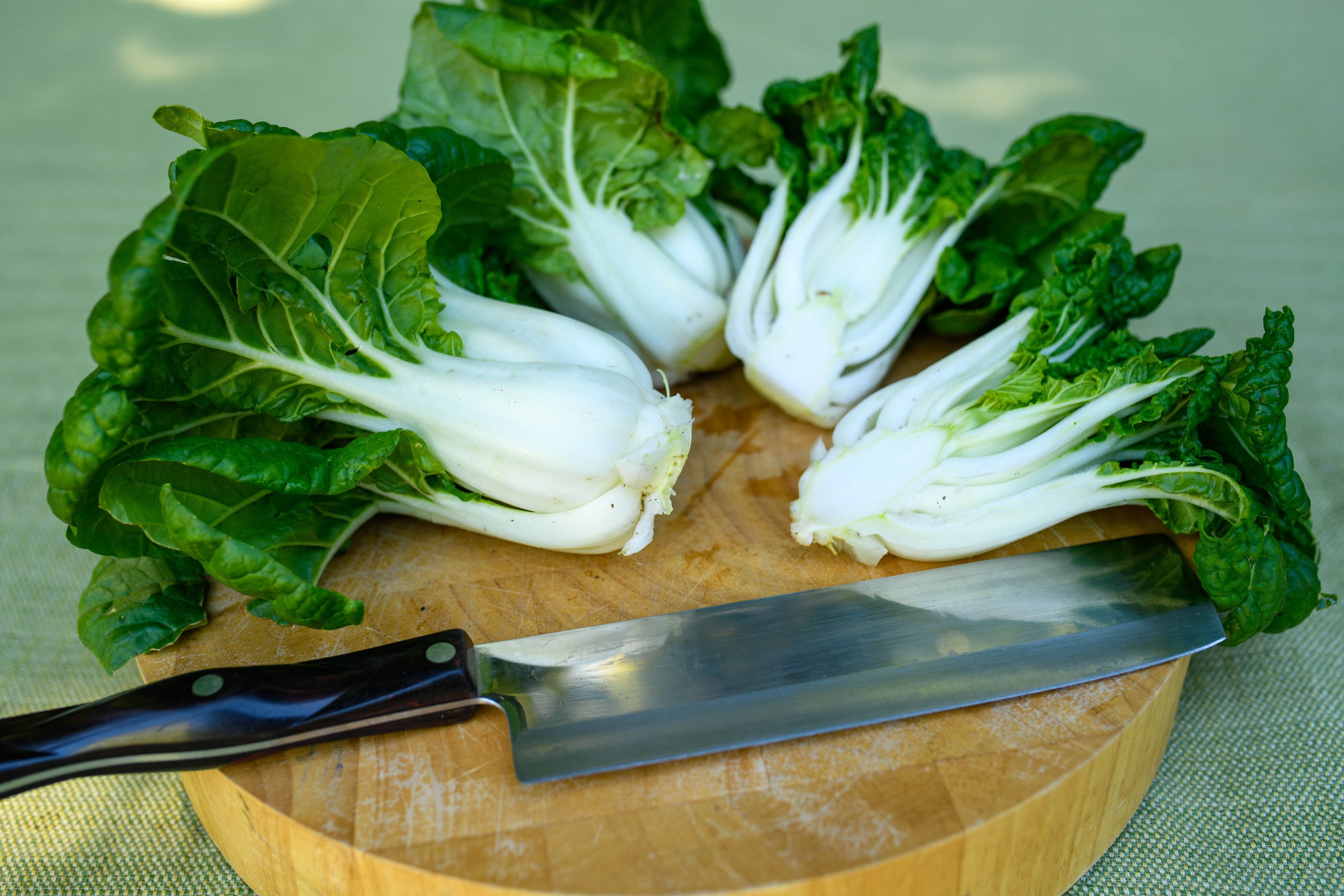 Green Jewel' Mini Pak Choi – Renee's Garden