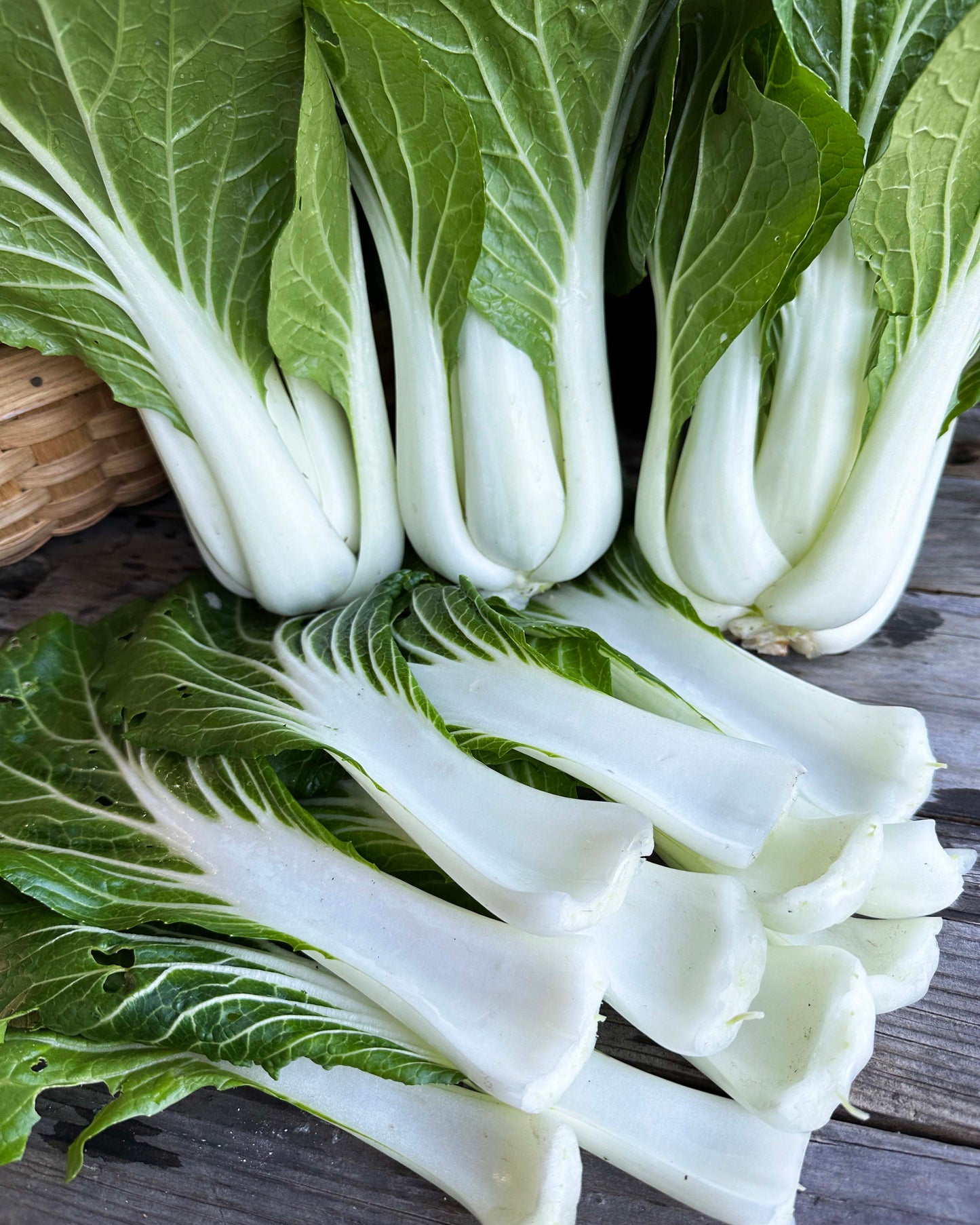 Pak Choi - Bopak Organic