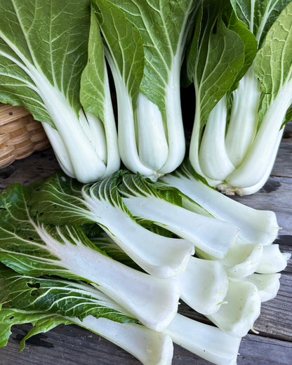 Pak Choi - Bopak Organic