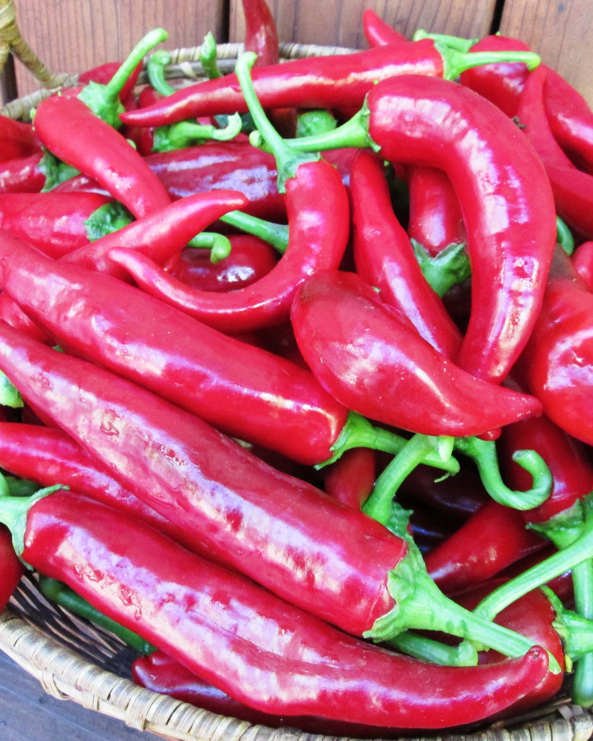 paprika plant seeds Paprika Pepper