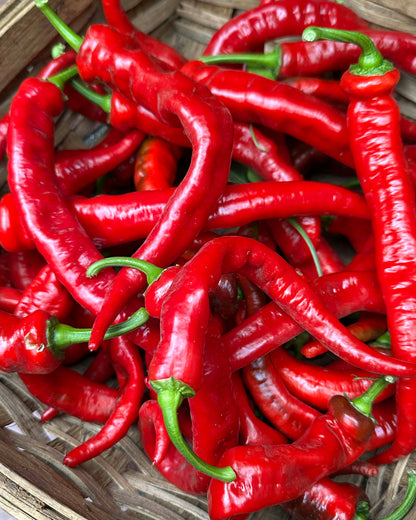 Italian Peppers - Jimmy Nardello Organic