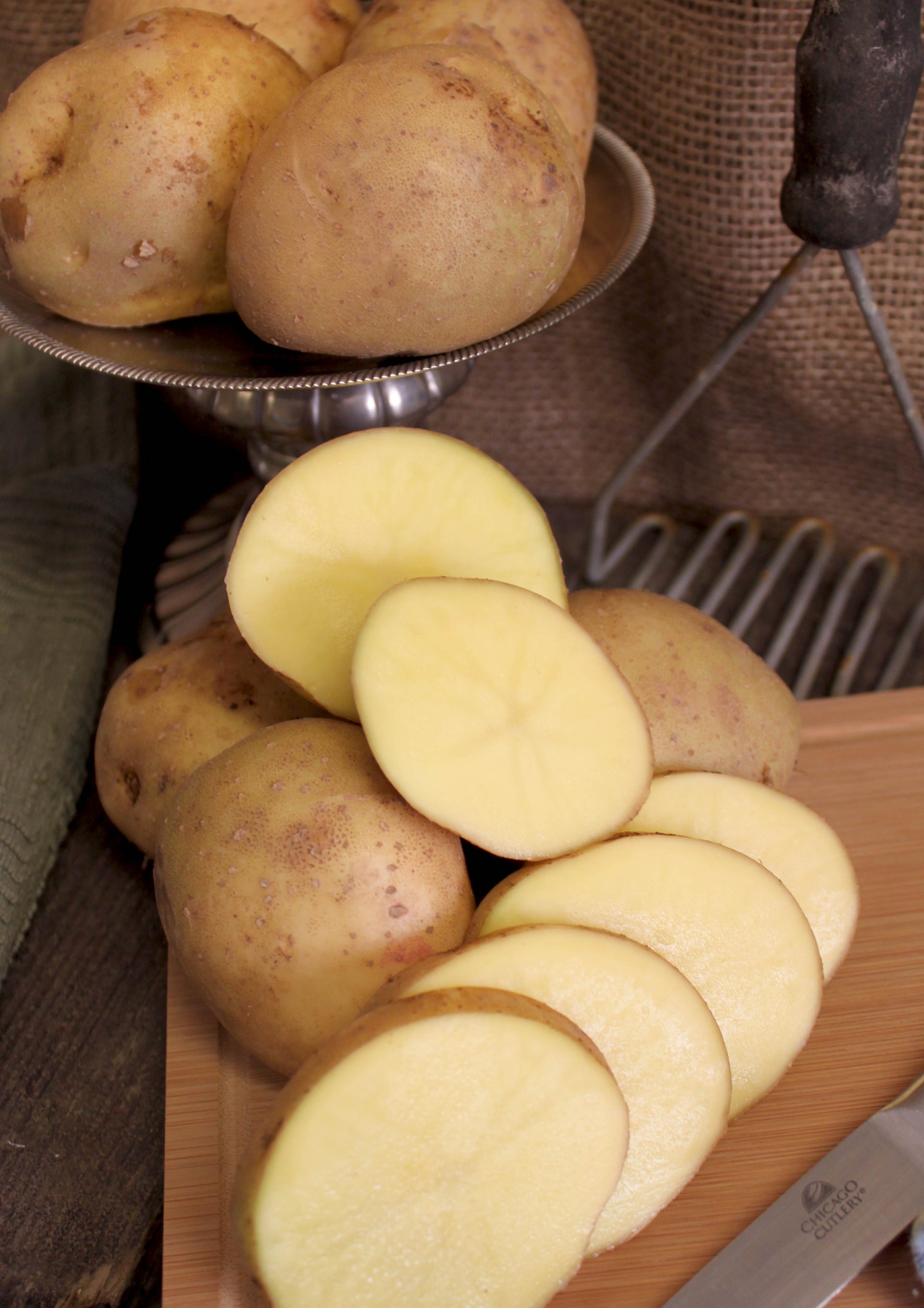 klondike rose seed potatoes Seed Potatoes