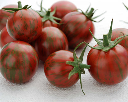 Cherry Tomato - Purple Bumble Bee Organic
