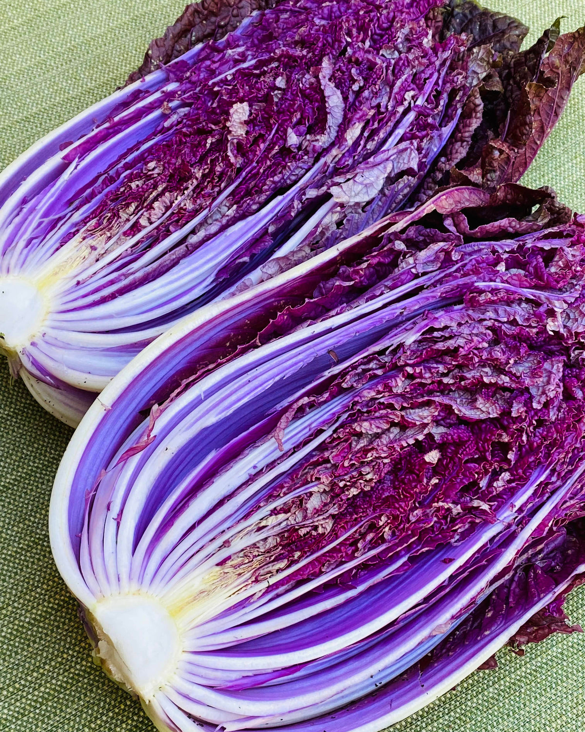 Napa Cabbage - Purple Express