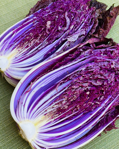 Napa Cabbage - Purple Express