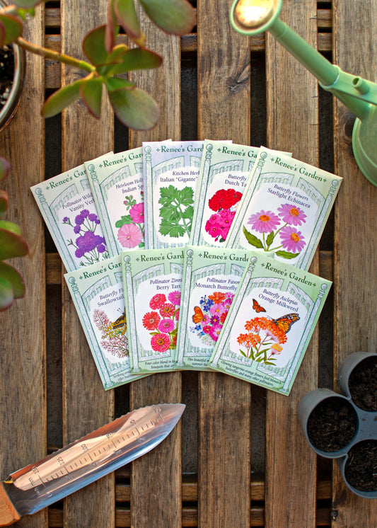 Hand-Picked Seed Bundle - Butterfly Magnets