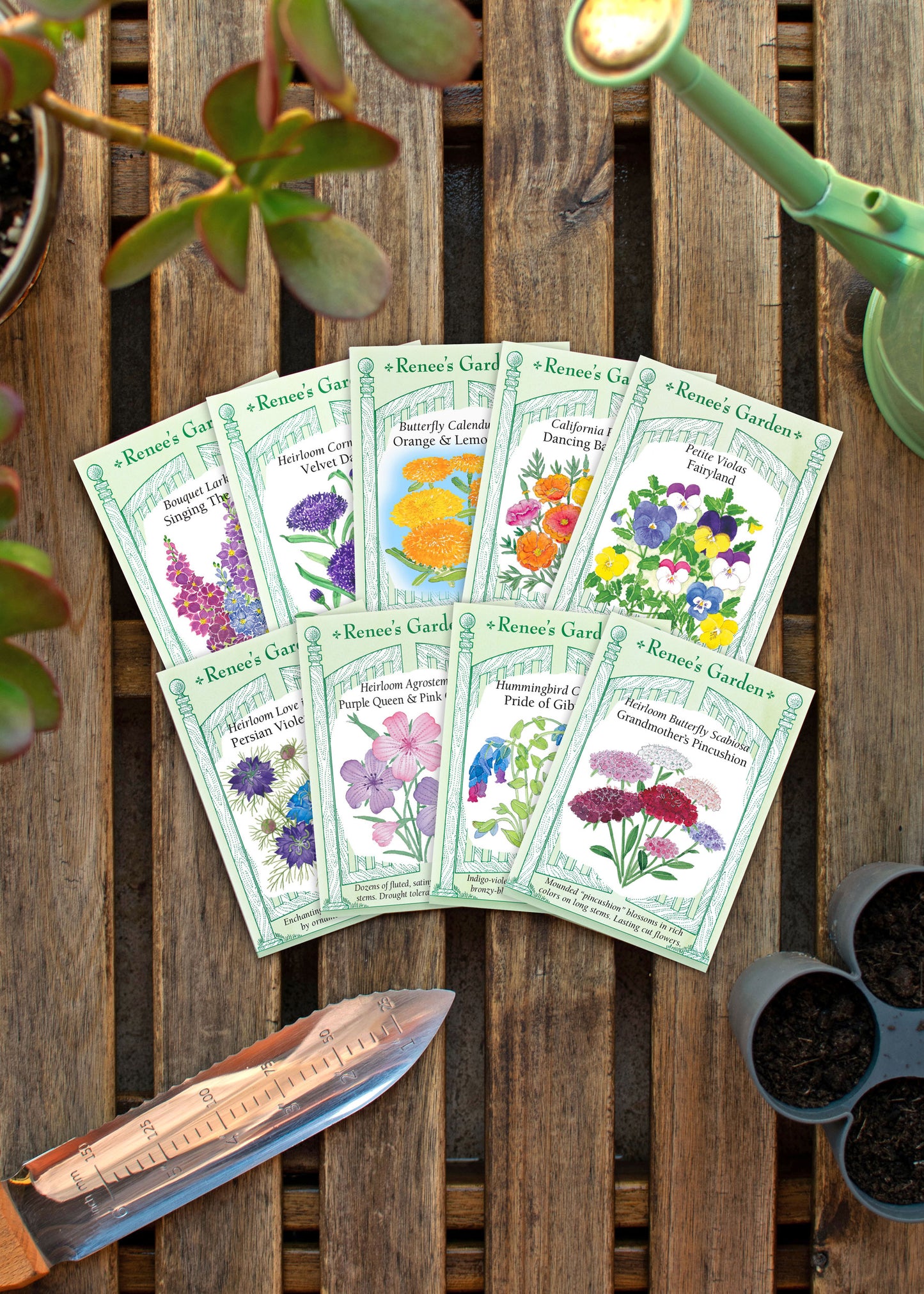 Hand-Picked Seed Bundle - Early Spring Flowers