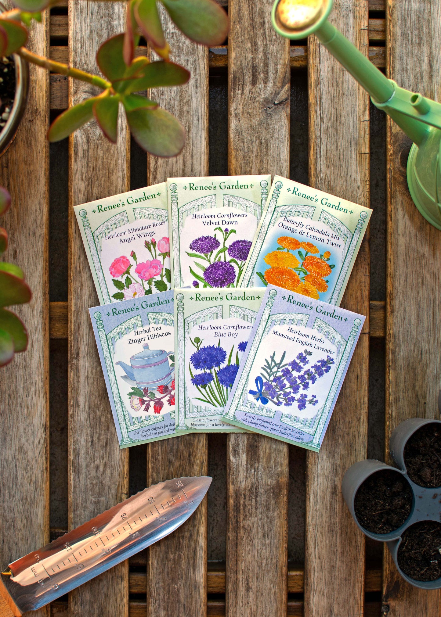 Hand-Picked Seed Bundle - Flowerfetti