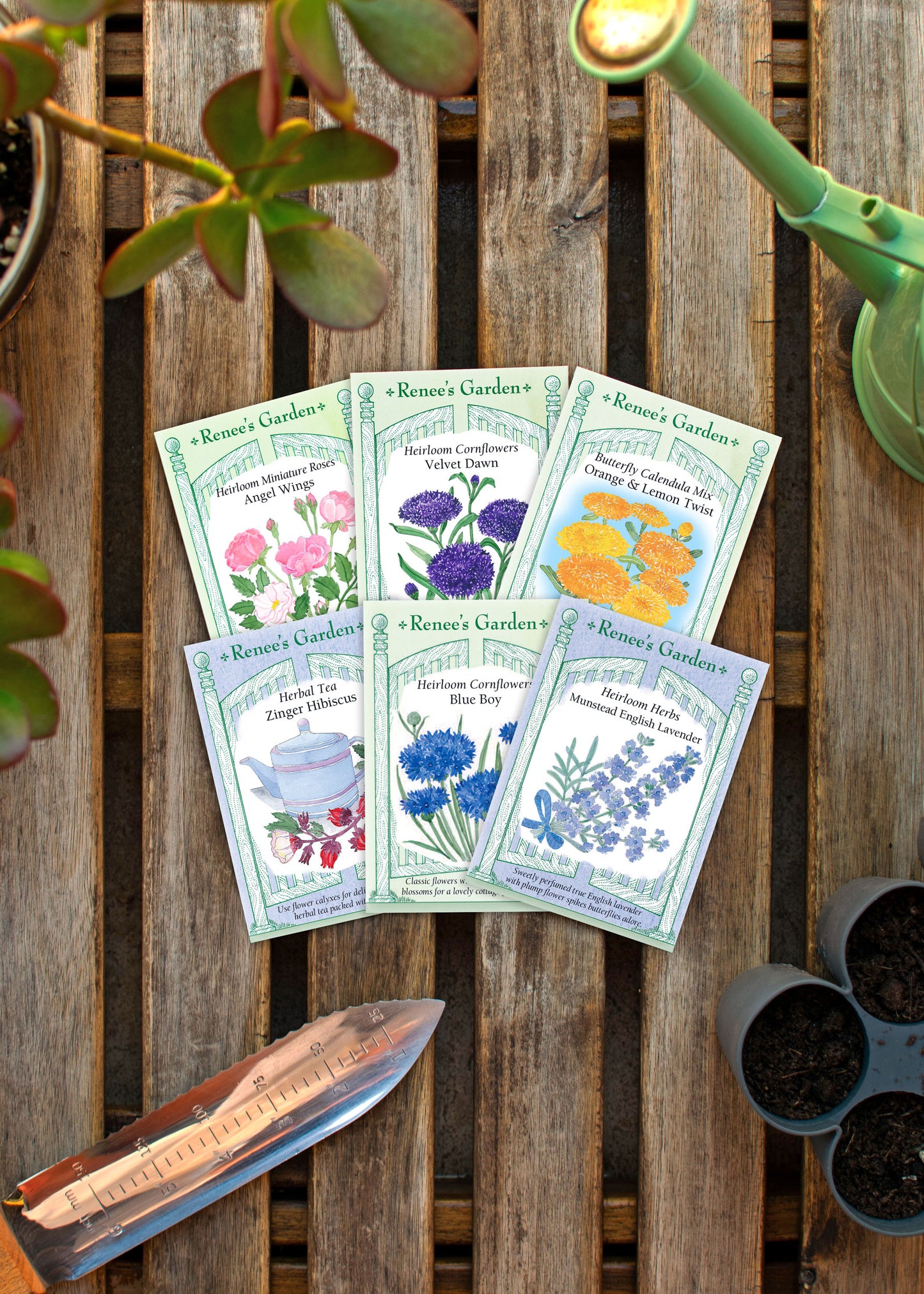 Hand-Picked Seed Bundle - Florafetti