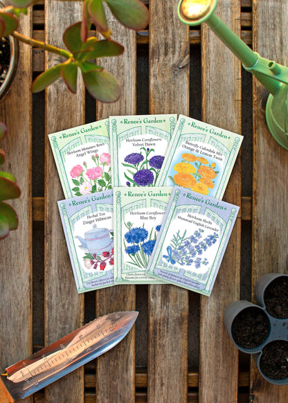 Hand-Picked Seed Bundle - Florafetti