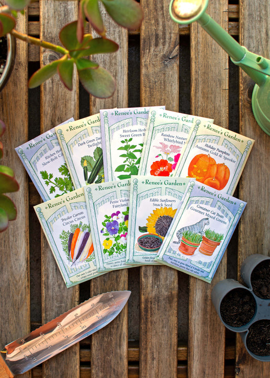 Hand-Picked Seed Bundle - Pet-Friendly