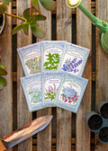 Hand-Picked Seed Bundle - Tea Garden