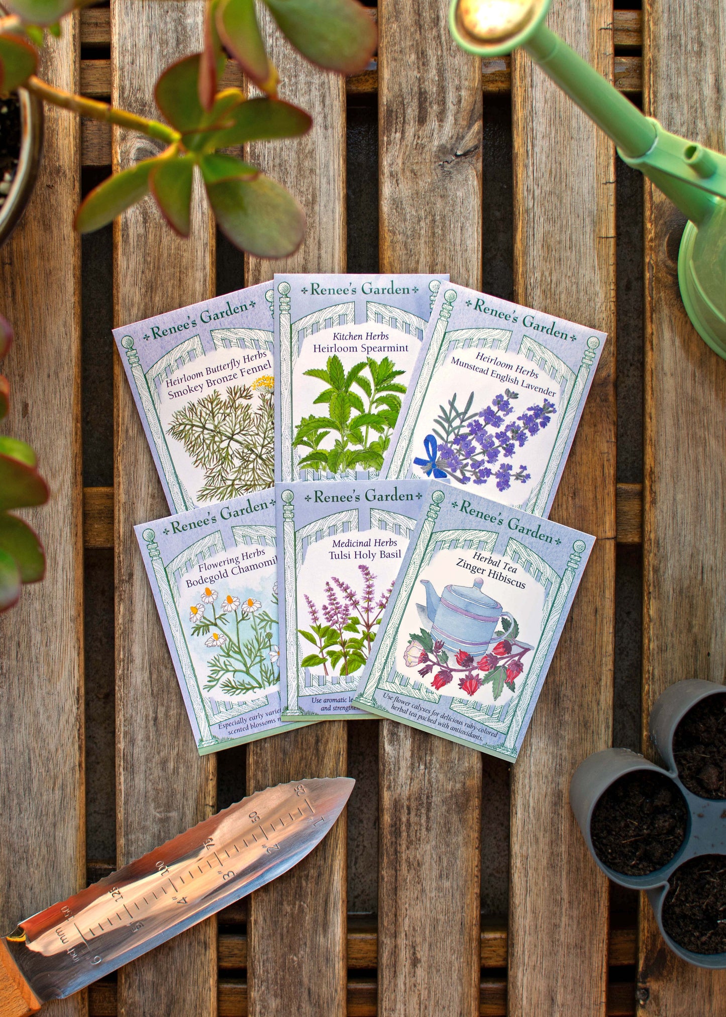 Hand-Picked Seed Bundle - Tea Garden