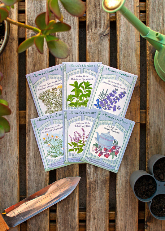 Hand-Picked Seed Bundle - Tea Garden