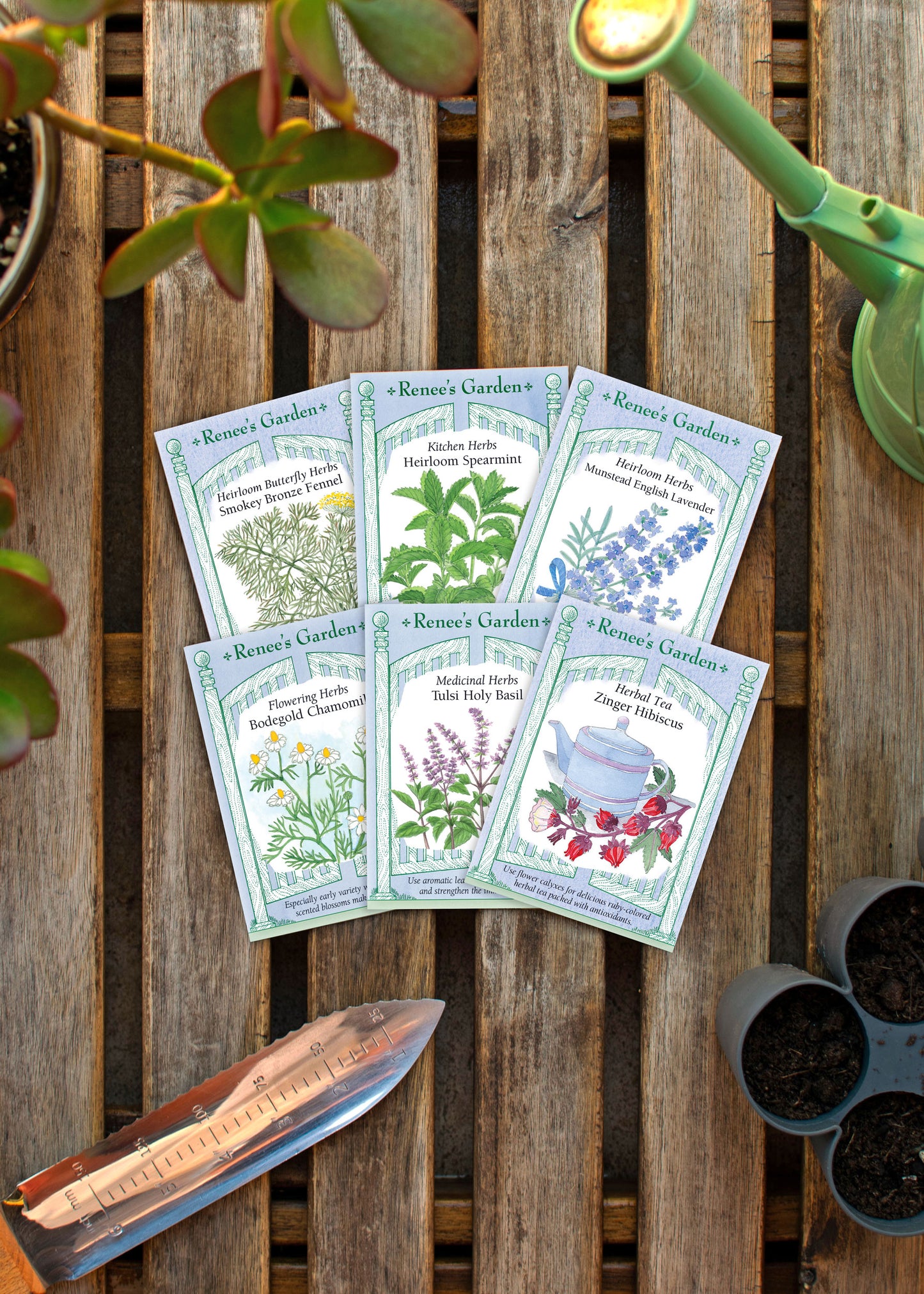 Hand-Picked Seed Bundle - Tea Garden