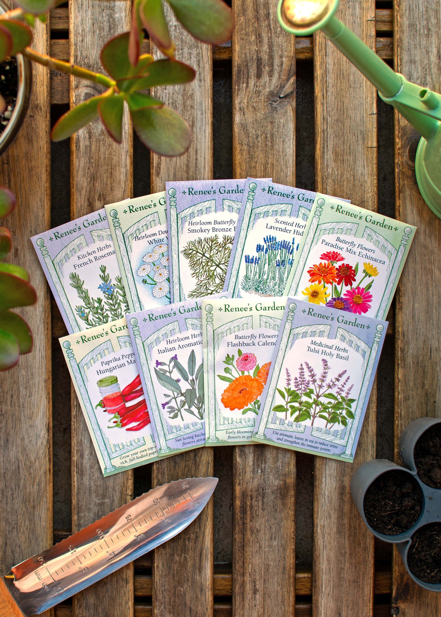 Hand-Picked Seed Bundle - Wellness Garden
