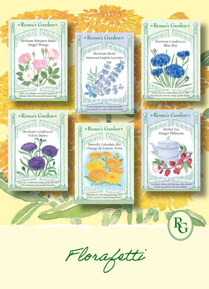 Hand-Picked Seed Bundle - Florafetti