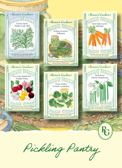 Hand-Picked Seed Bundle - Pickling Pantry