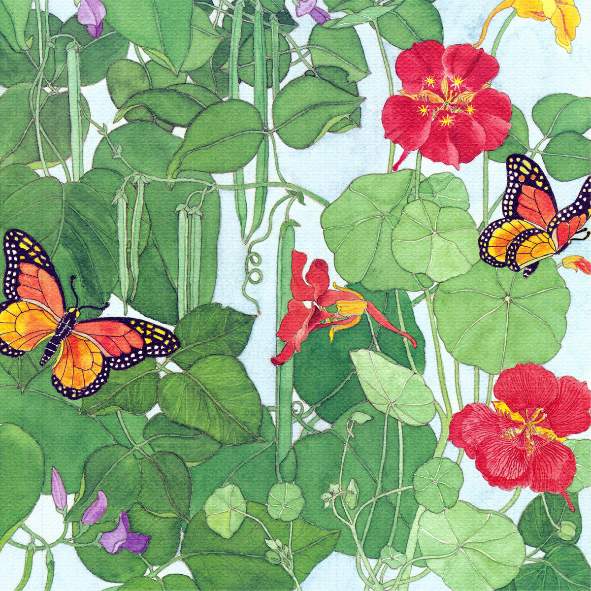 Catalog Renee's Garden