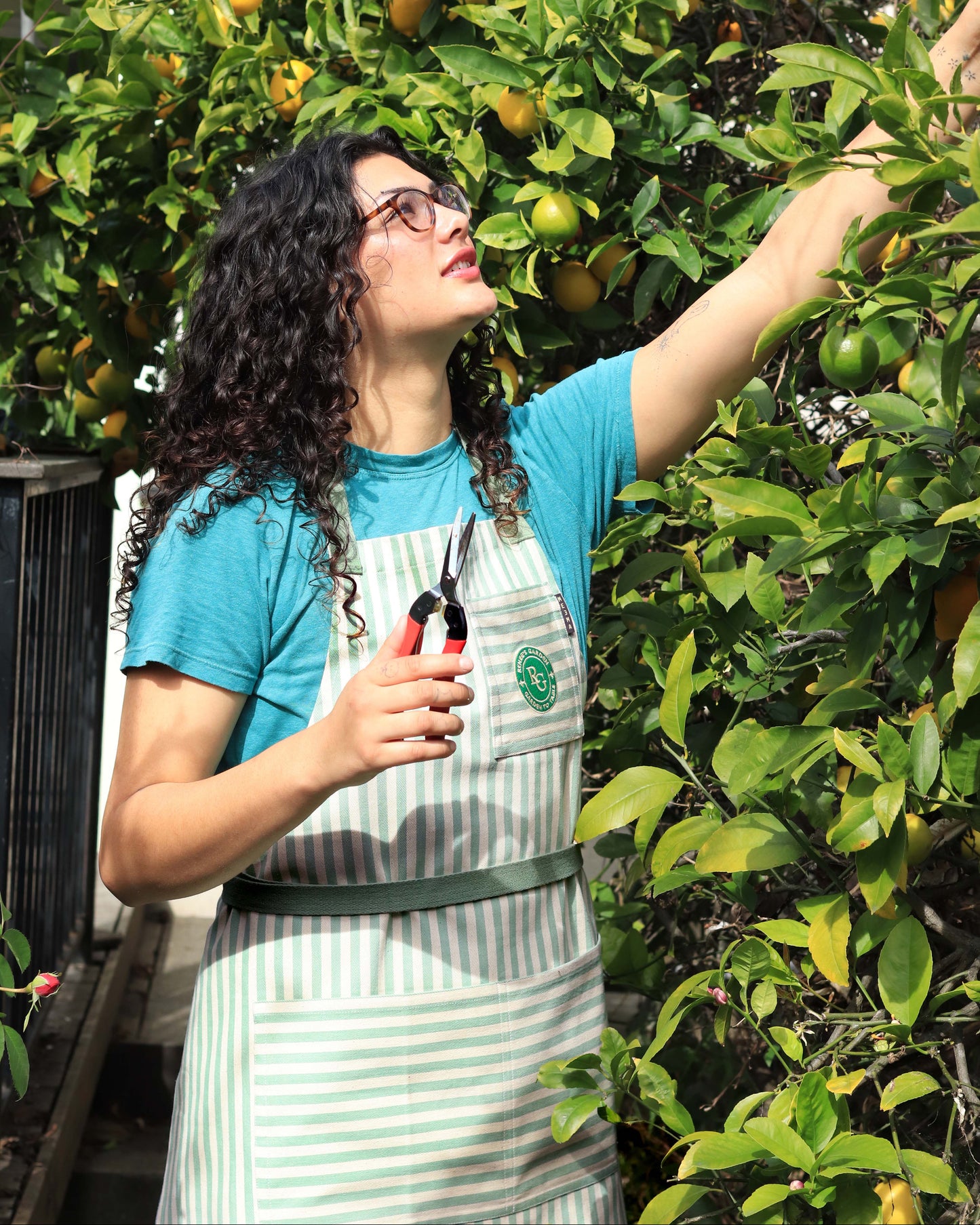 Renee's Garden to Table Apron