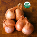 Red Shallots