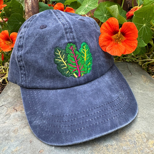 Rainbow Chard Dad Hat