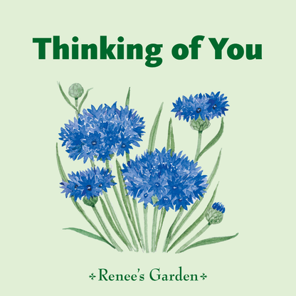 Thinking of You (green)