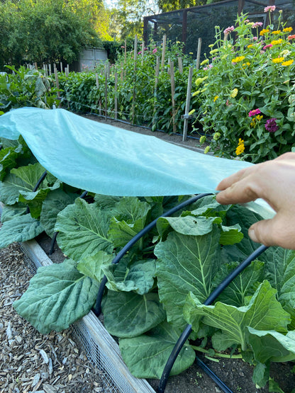 Agryl Floating Row Cover