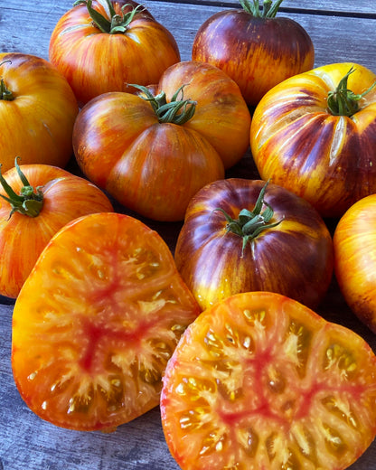 Beefsteak Tomato - Alice’s Dream