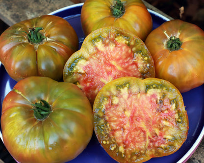 Beefsteak Tomato - Ananas Noir