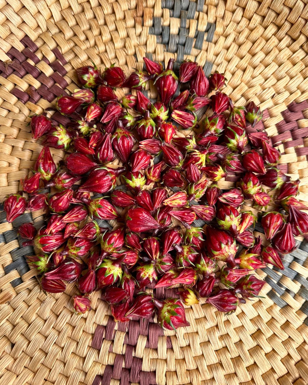 Zinger Hibiscus