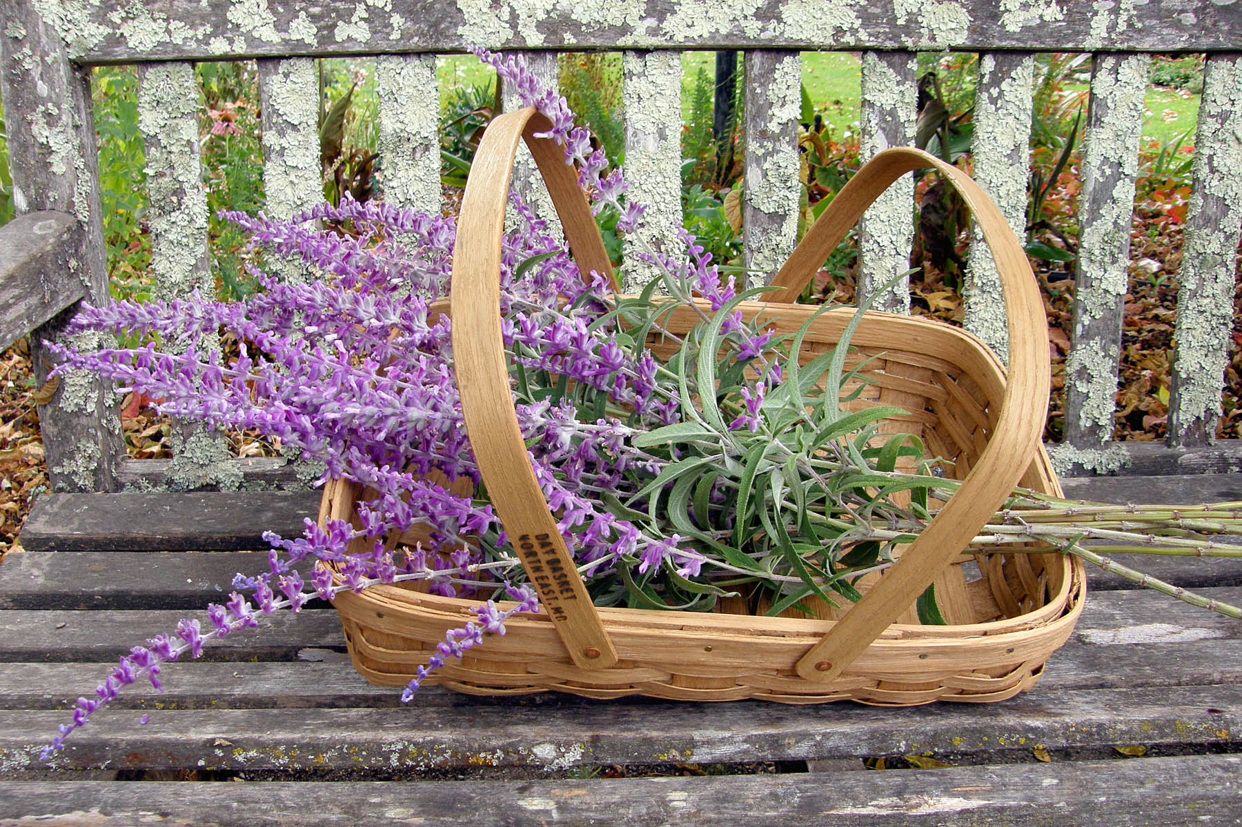 woven baskets for plants Woven Oak Harvesting Baskets Square Harvest Basket
