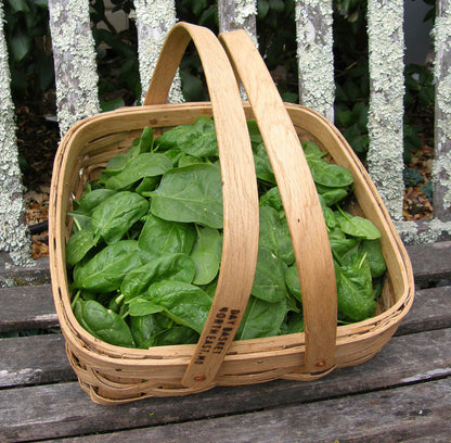 Supplies Basket - Woven Oak Harvesting Baskets