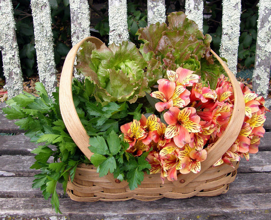 Supplies Basket - Woven Oak Harvesting Baskets
