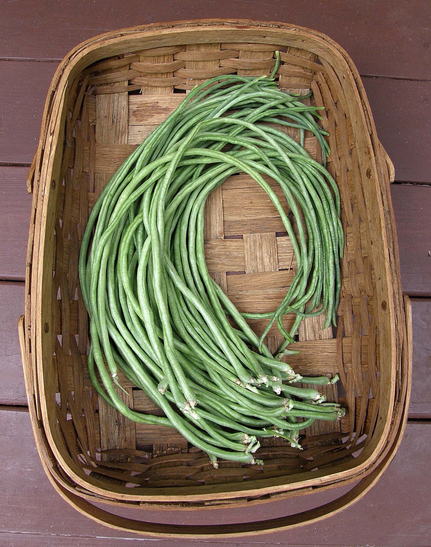 Pole Beans - Yard Long Noodle King