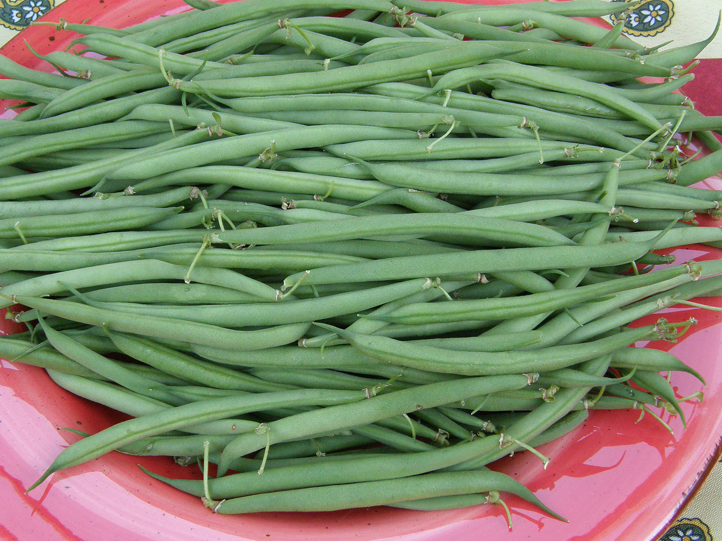 French Baby Bush Beans - Nickel Filet