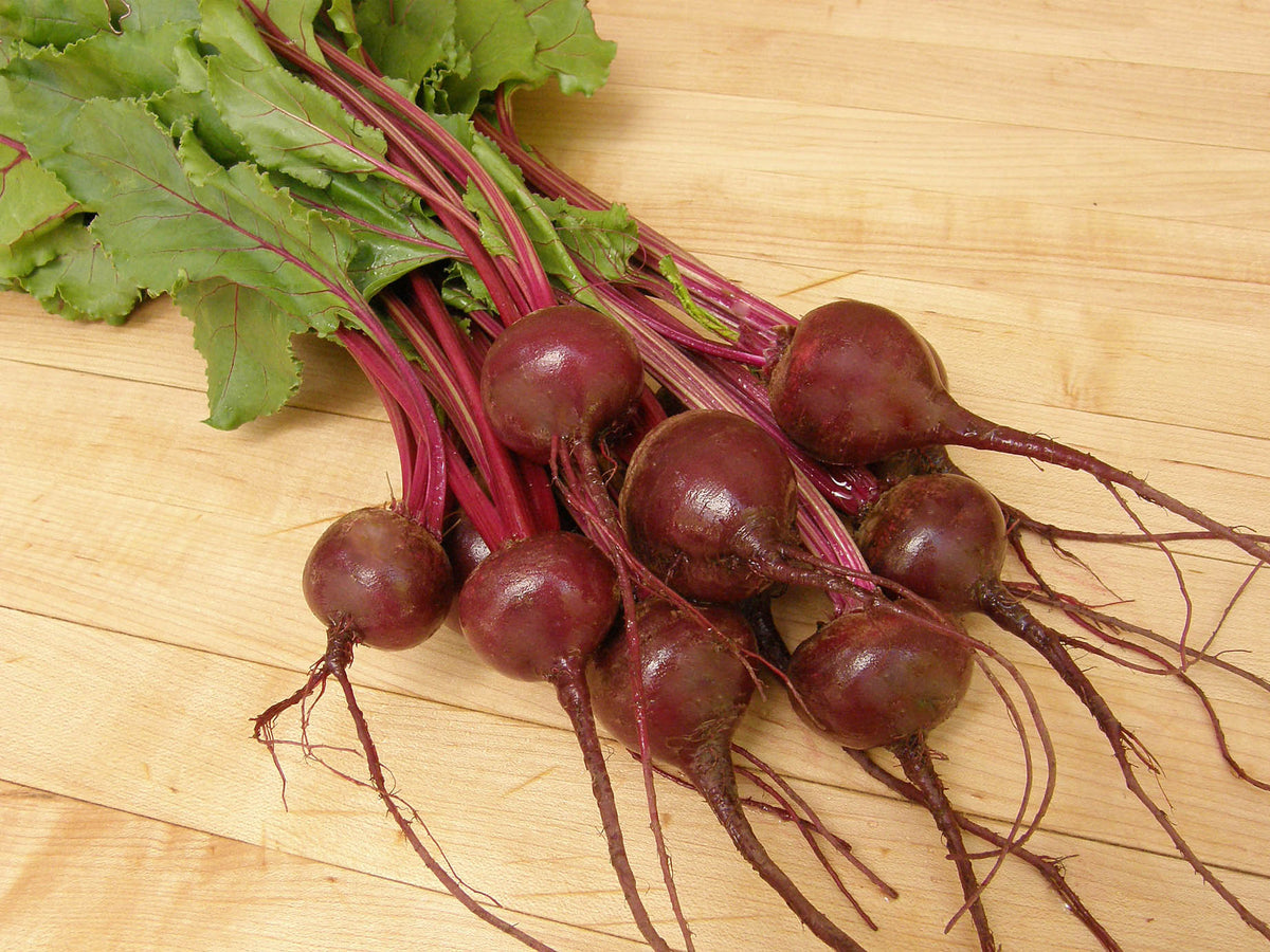 Beets Ball 'Baby Ball' Dutch Beets – Renee's Garden