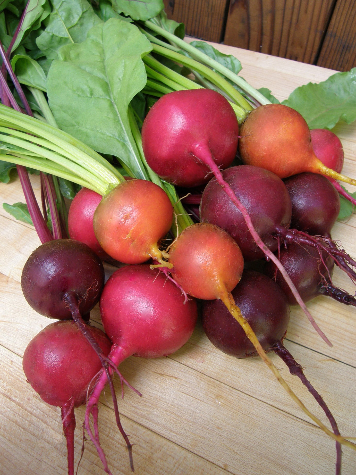 Red, Gold & Candystripe