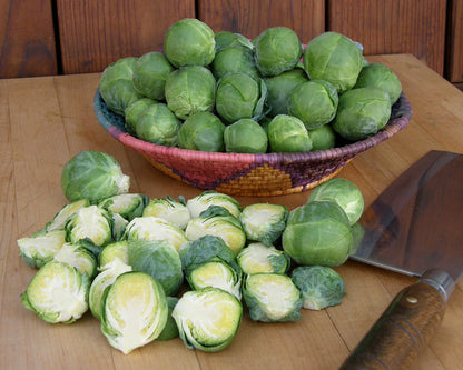 Brussels Sprouts - Hestia